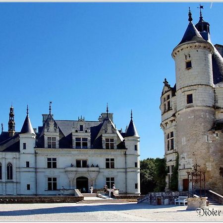 Ferienwohnung La Scellerie Tours Exterior foto
